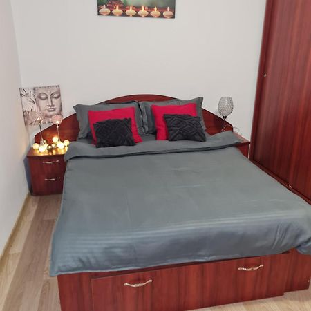 Ambient Cismigiu Appartement Boekarest Buitenkant foto